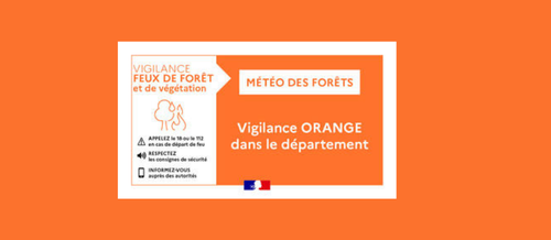 Le département de l'Allier est placé en risque élevé « feux de forêt »